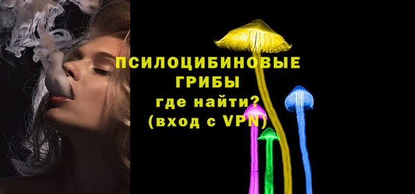 ALPHA PVP Верея