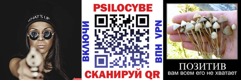 Галлюциногенные грибы мицелий  сколько стоит  Горячий Ключ 