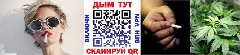что такое наркотик  Горячий Ключ  МАРИХУАНА SATIVA & INDICA 
